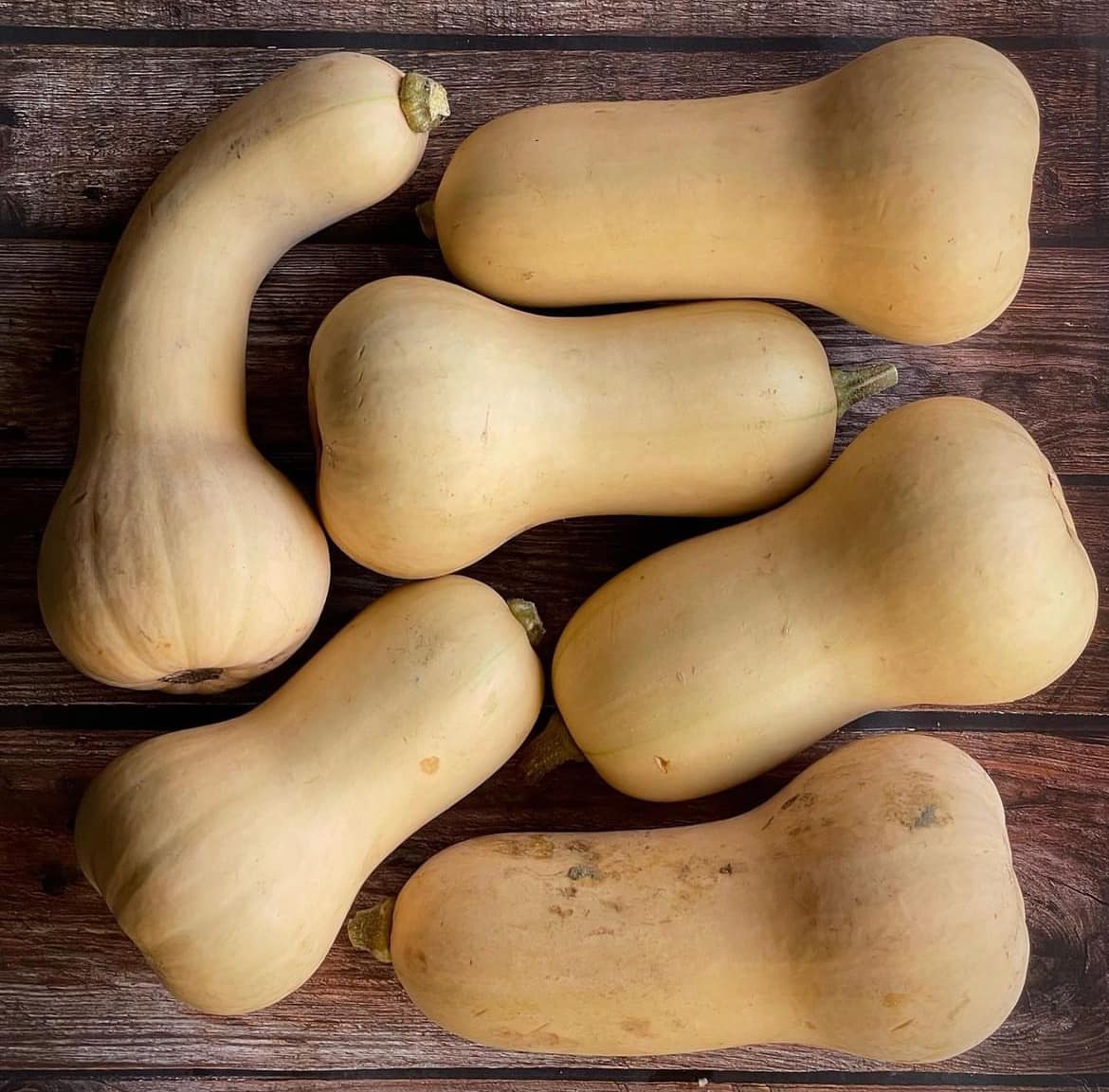 Beyond the Butternut