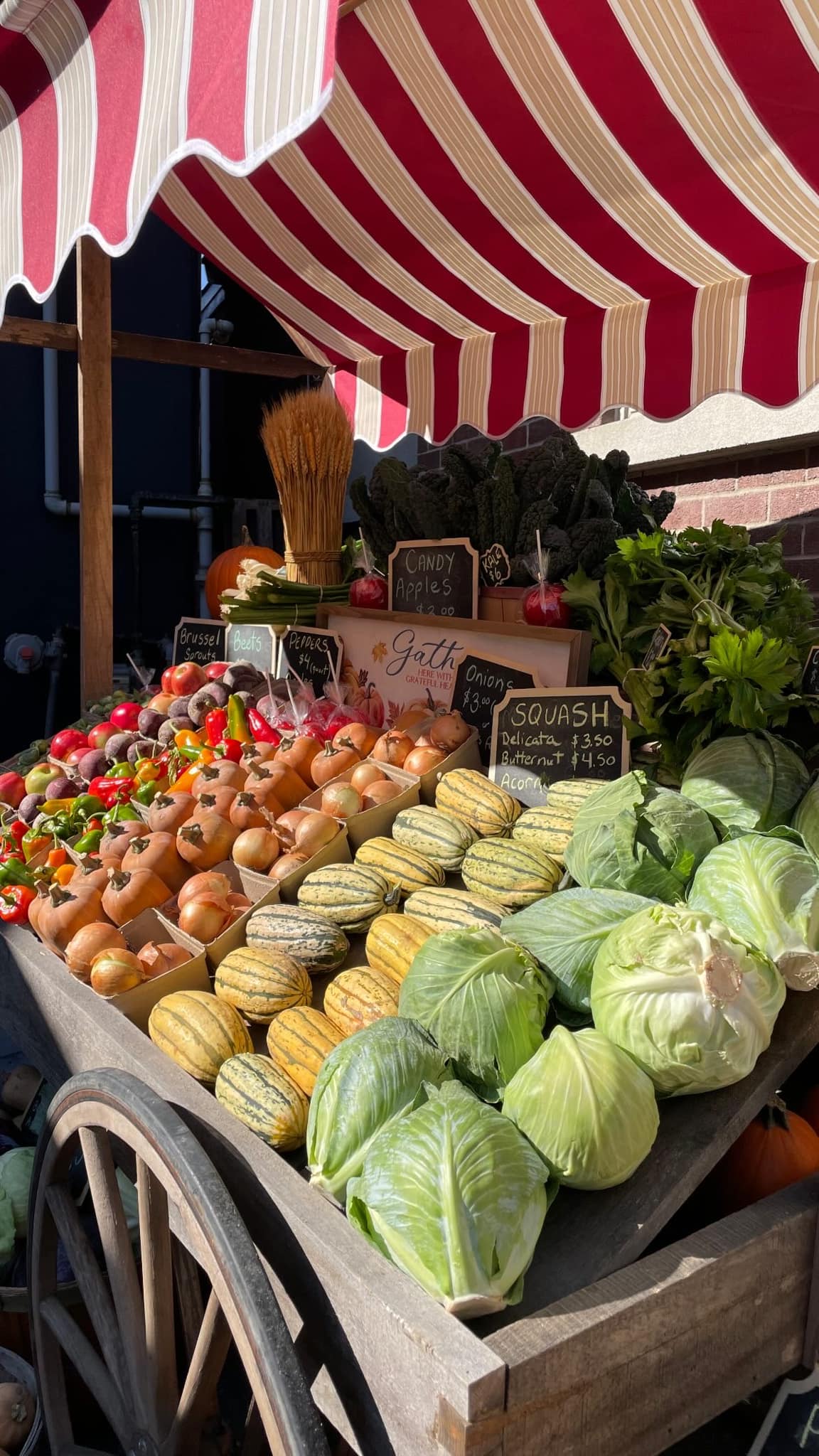 A Spooktacular Day at Farinella: Halloween Fun and Farm Fresh Flavours!